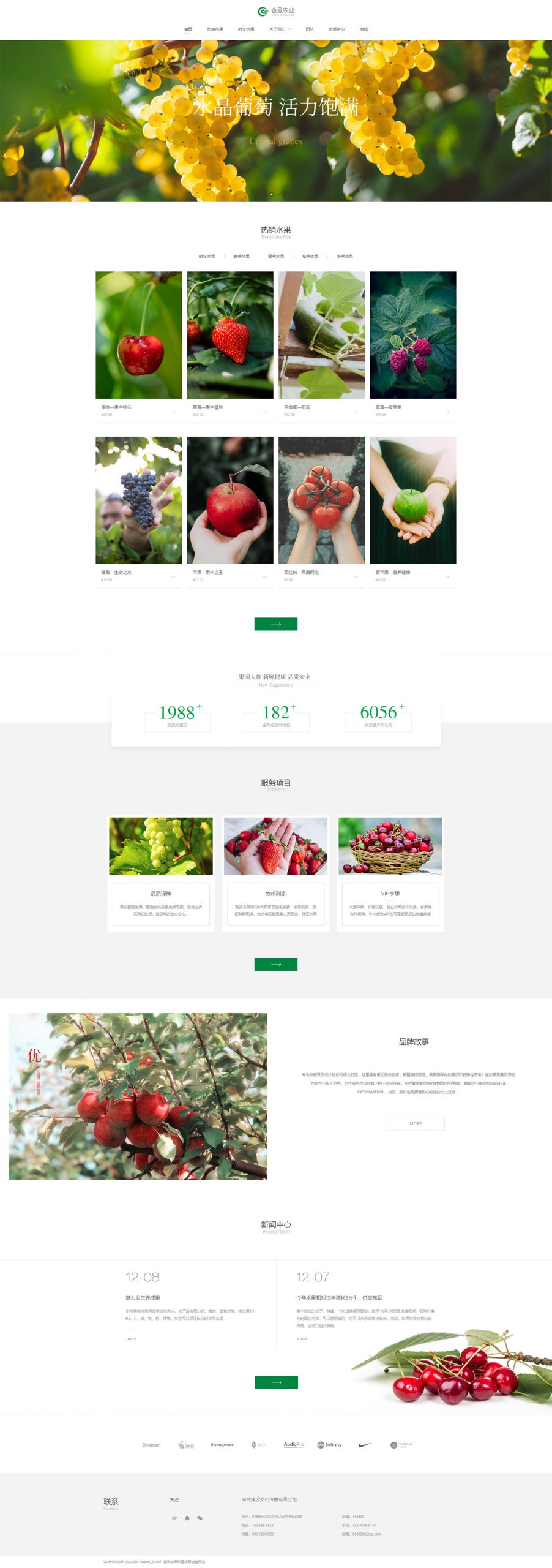 蔬菜水果网站模板